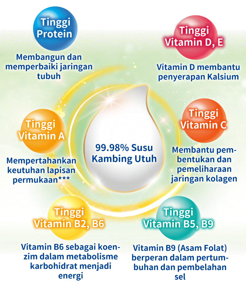 15+ Nutrisi Utama Untuk Memenuhi Kebutuhan Nutrisi harian
