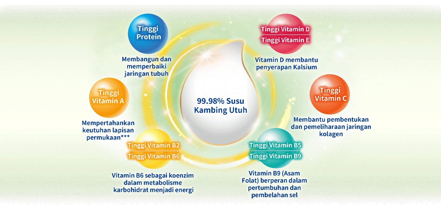 15+ Nutrisi Utama Untuk Memenuhi Kebutuhan Nutrisi harian