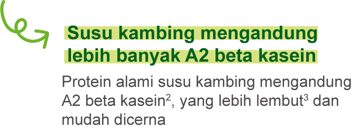 Susu kambing mengandung lebih banyak A2-type beta kasein