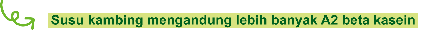 Susu kambing mengandung lebih banyak A2-type beta kasein